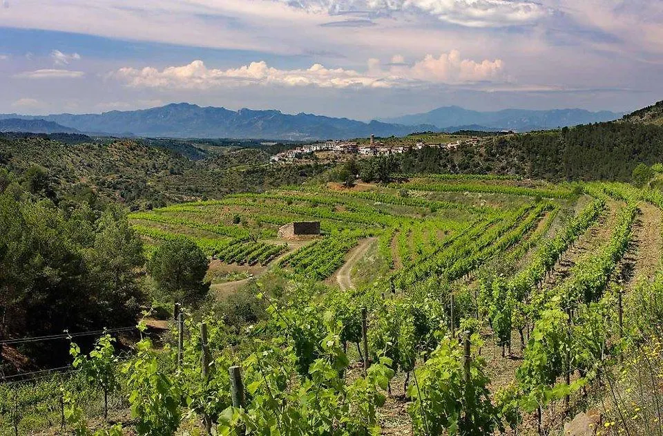 Clos Figueras Gratallops Spain